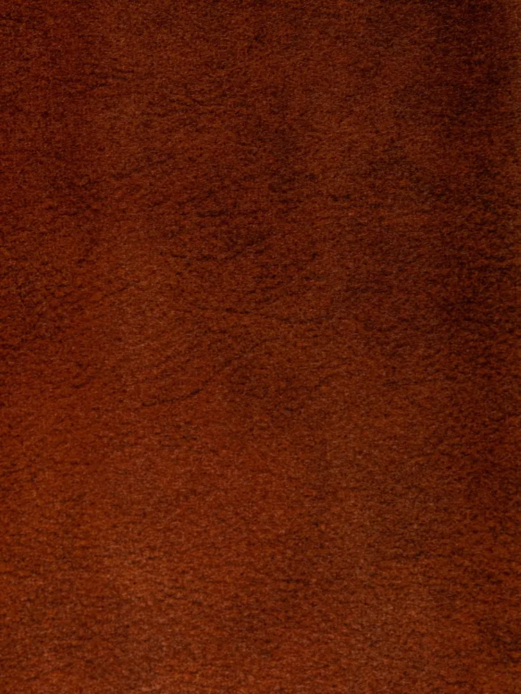 DELEMONT Cognac —  ARTEKS