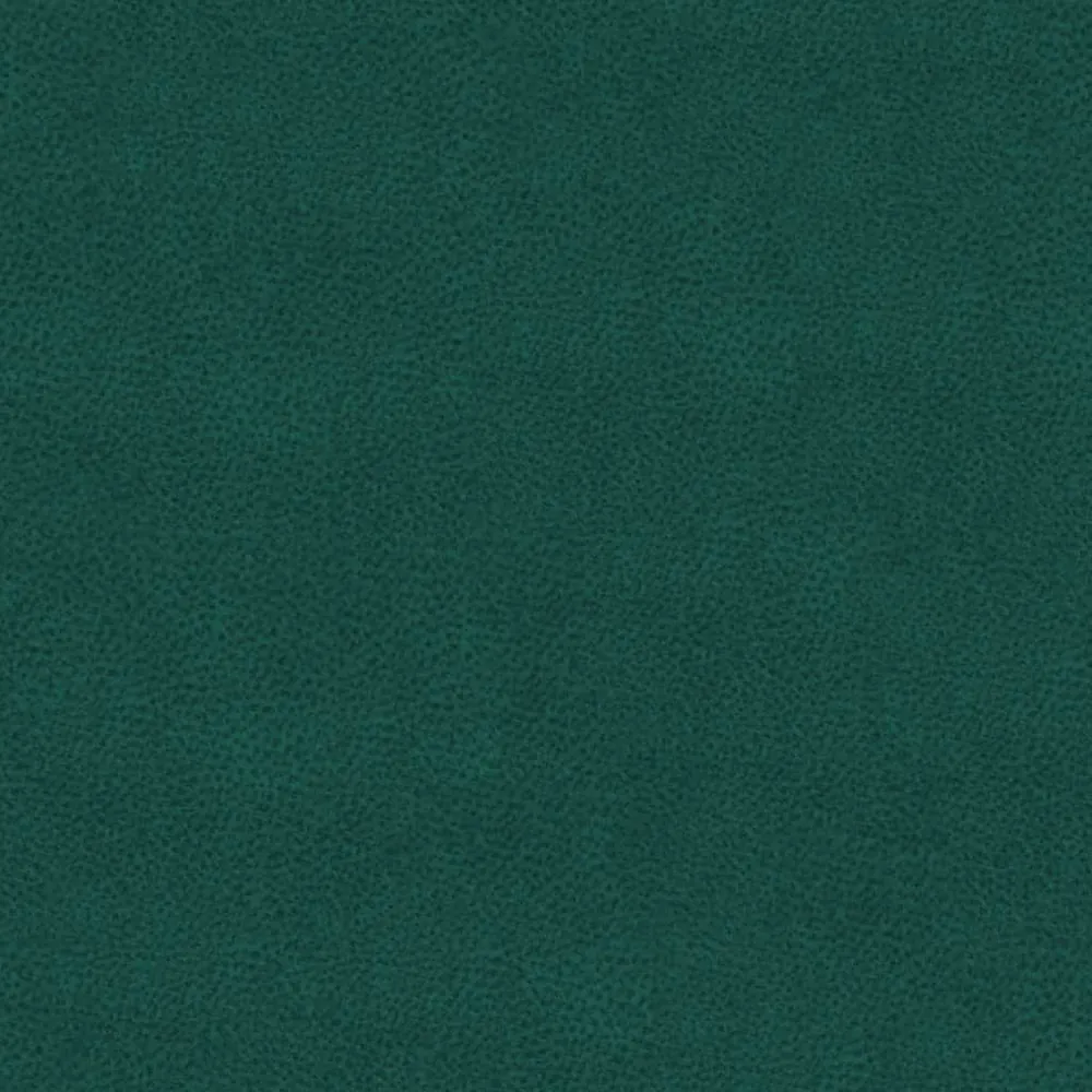 ENIGMA Ocean —  ARTEKS
