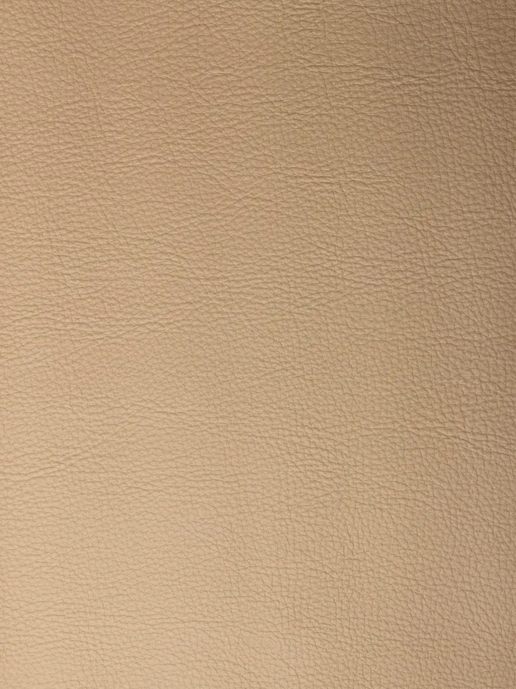 STANFORD Latte —  ARTEKS
