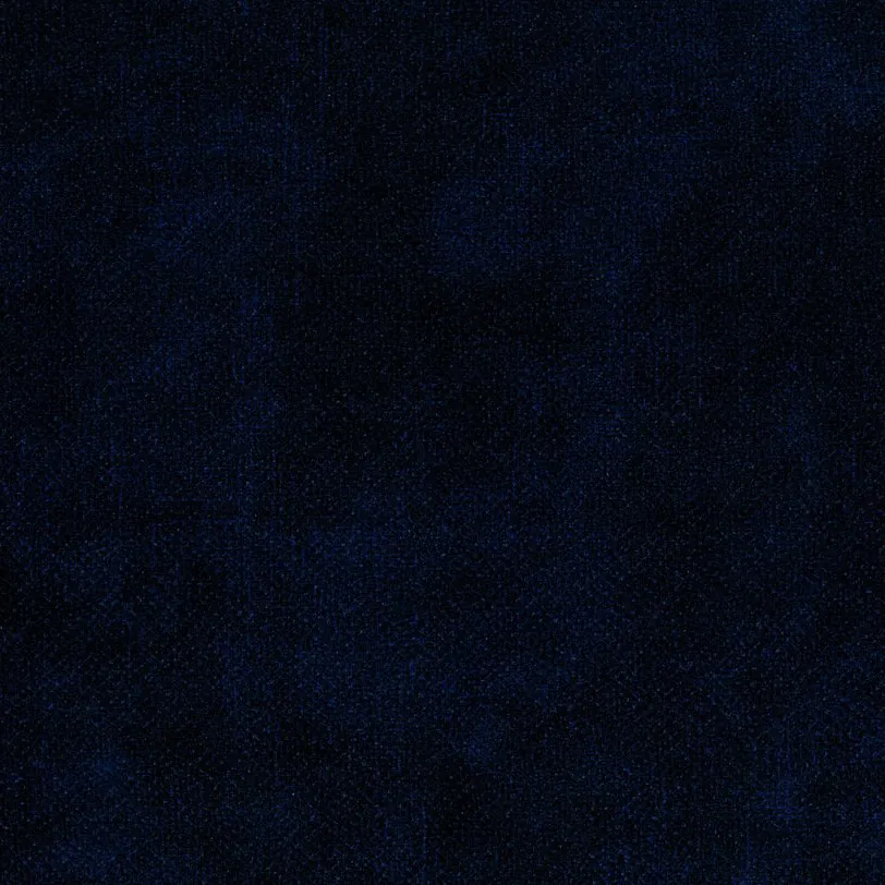 TERRA NW 79 — Велюр DECORA GROUP