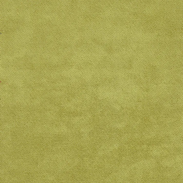GALLARDO 10 Оливковый —  DIVOTEX