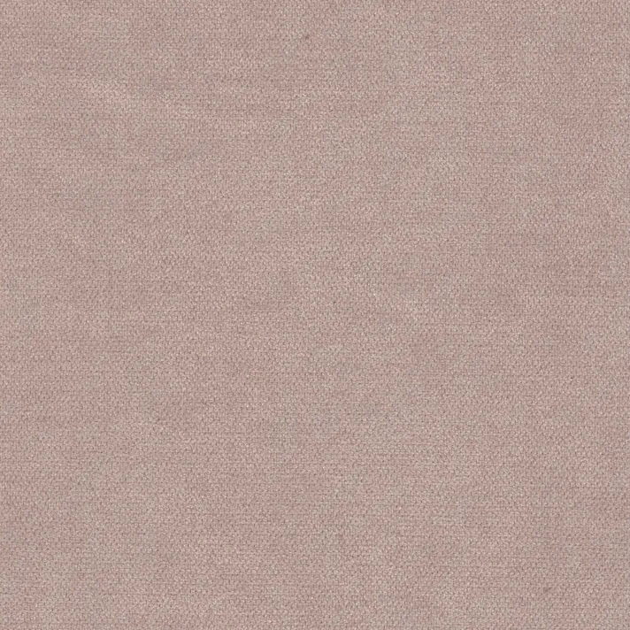 LIBERTY Latte —  DIVOTEX
