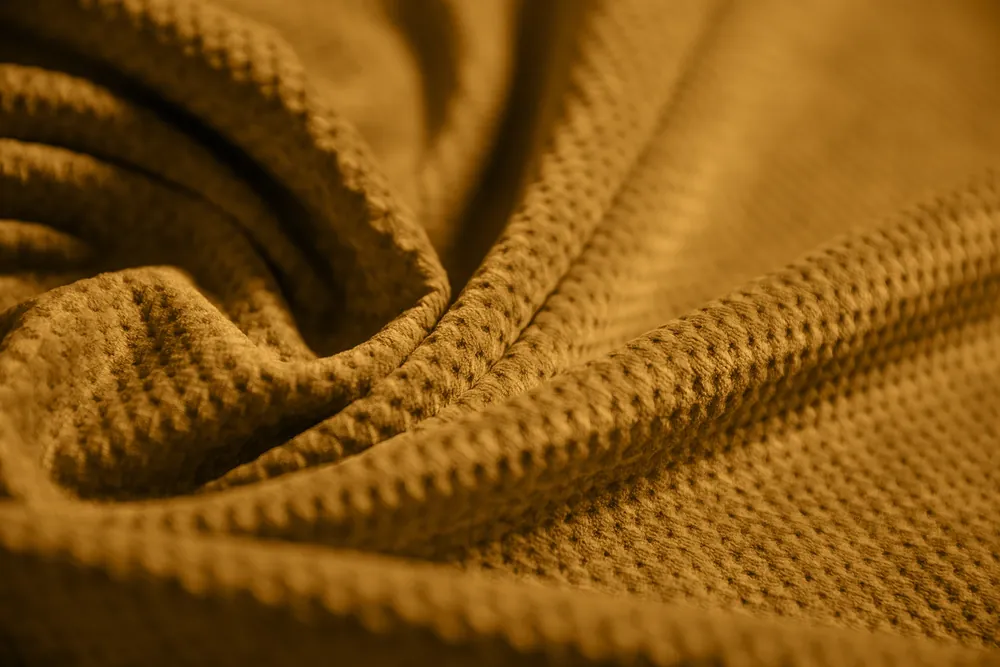 PALACE 5 Gold —  DIVOTEX