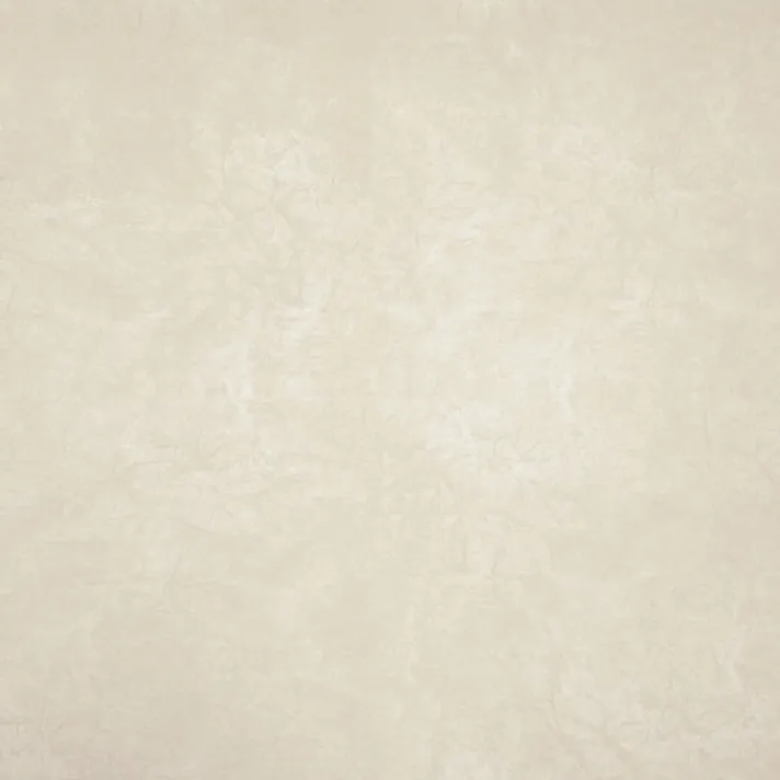 PORTOFINO Beige — Шкірзамінник DIVOTEX