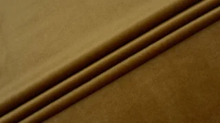 АЛЬМИРА 24 Golden Lion Shine
