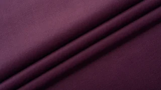 ДЕЙЗИ 66