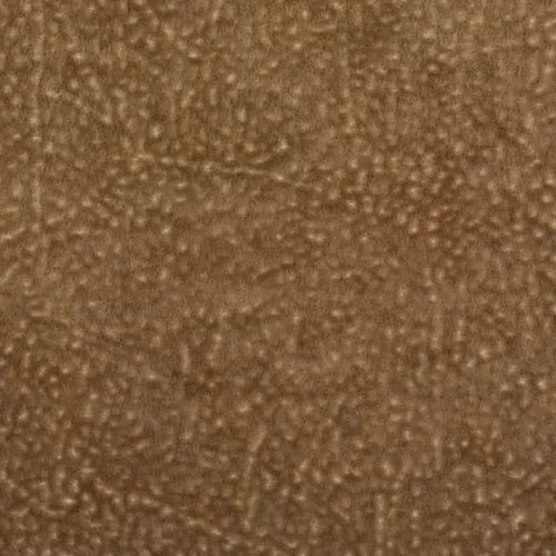 PALI 360 —  UNITEX
