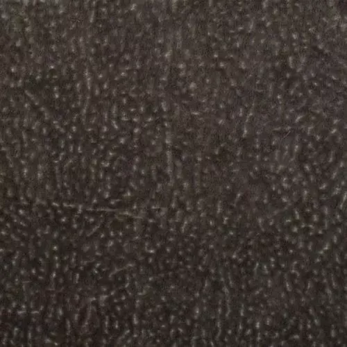 PALI 795 —  UNITEX